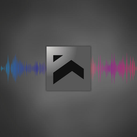 Professionally edited